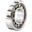 Cylindrical Roller Bearings