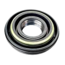 Oil Seal Bearings